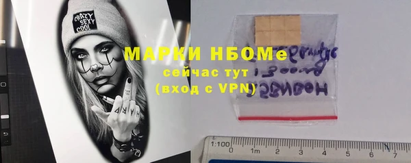 PSILOCYBIN Алзамай