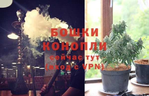 PSILOCYBIN Алзамай