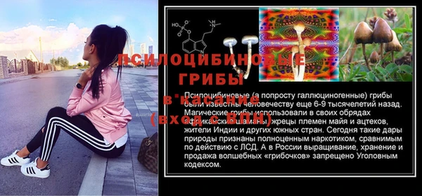 PSILOCYBIN Алзамай