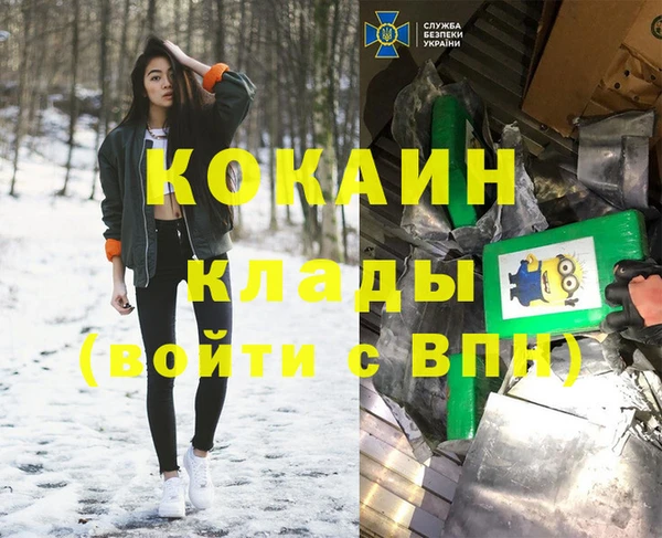 PSILOCYBIN Алзамай