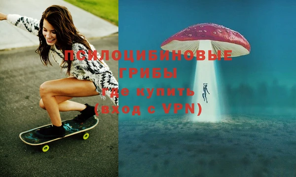 PSILOCYBIN Алзамай