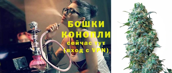 PSILOCYBIN Алзамай